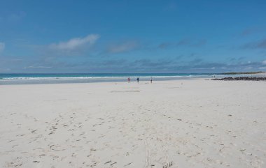 Turkuaz bir denizin kıyısında yürüyorum.