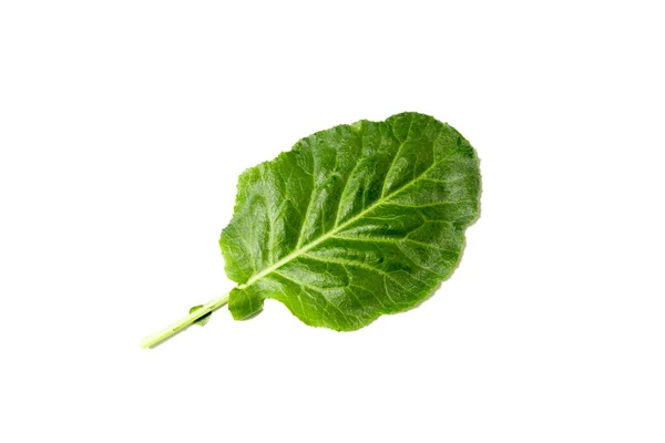 Stockfotos Ssam Vegetable Bilder Stockfotografie Ssam Vegetable Lizenzfreie Fotos Depositphotos