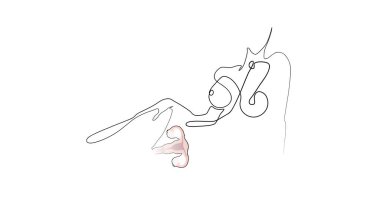 Kadın vücudunun silueti ve rahmin görüntüsü. Bir çizgi. Vektör illüstrasyonu