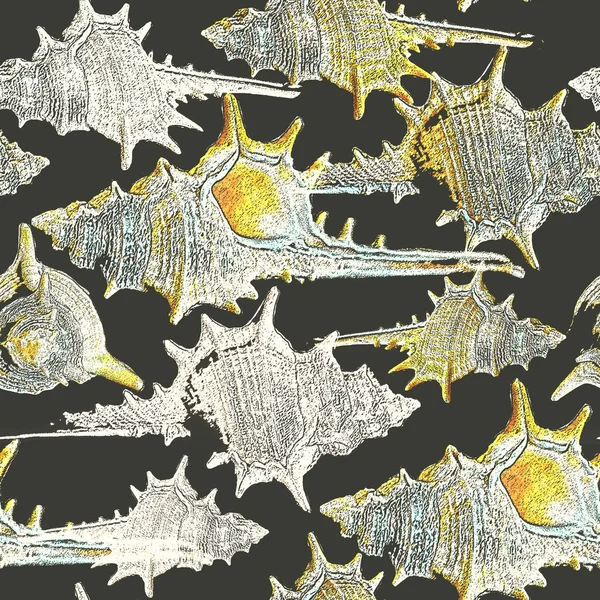 Collage Vintage Beautiful Background Seashells Grunge Style Perfect Print Fabric — Stock Photo, Image