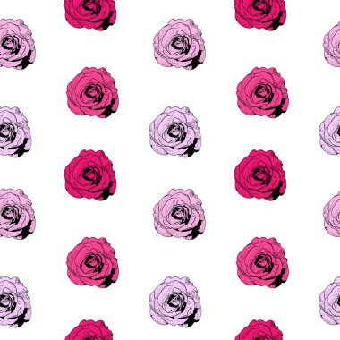Beyaz arka plan üzerinde pembe Gül ile Seamless Modeli