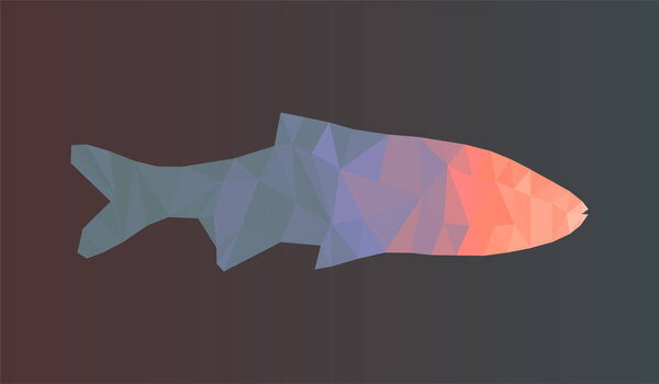 Abstract geometry polygonal fish, low poly vector illustration