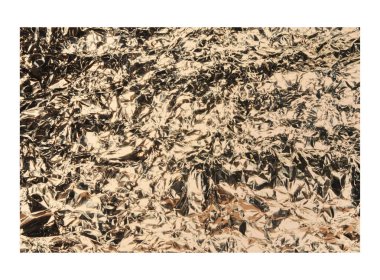 Beyaz arka plan üzerinde izole gül altın buruşuk folyo doku