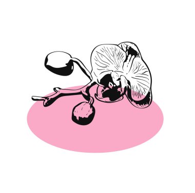 Iris çiçekli pembe çerçeve, beyaz arka plan üzerinde metin için yer ile siyah siluet