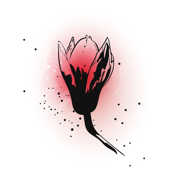 Handgezeichnete Tusche Magnolienblüte Auf Rosa Aquarell Spritzern Auf Weißem Hintergrund — Stockvektor