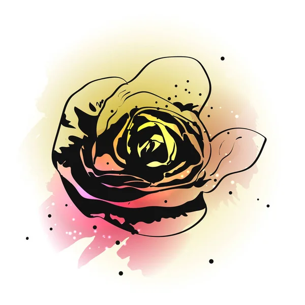 手绘墨水玫瑰花在水彩飞溅在白色背景 — 图库矢量图片