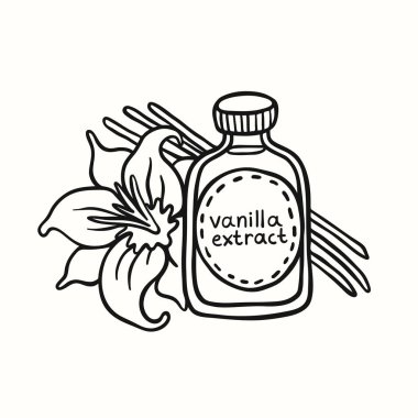 Beyaz Arka Planda Şişede Doodle Vanilya Özütü
