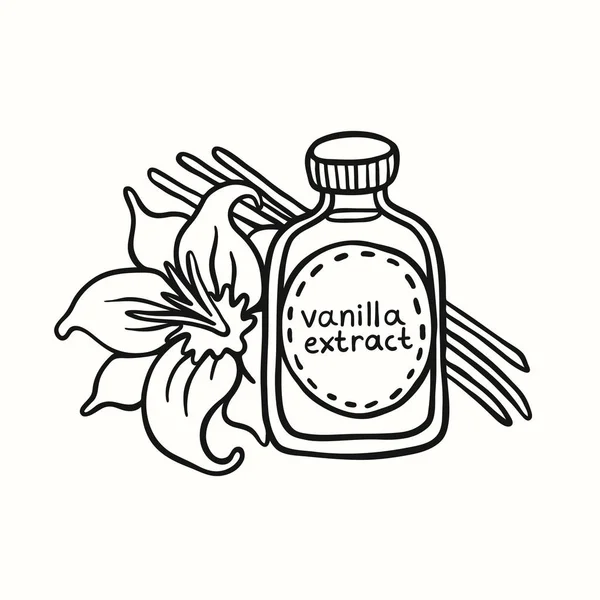 Extracto de vainilla de Doodle en botella sobre fondo blanco — Archivo Imágenes Vectoriales