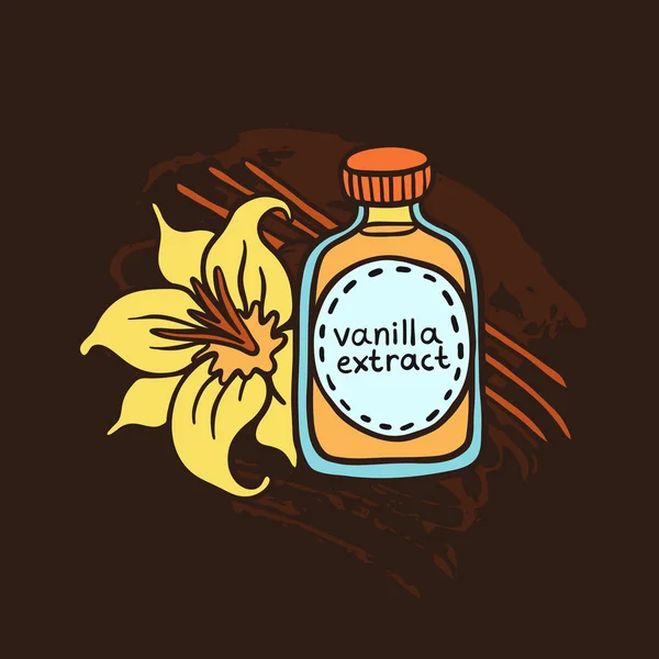 Doodle Vanilla Extract In Bottle — Stock Vector