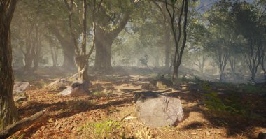 Gündüz vakti bir sürü ağaç olan güzel yeşil orman.