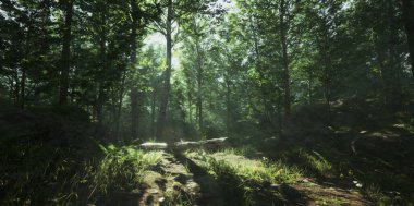 Büyülü yağmur ormanlarının güzel manzarası. Yeşil yapraklı büyüleyici ağaçlarla dolu renkli bir manzara..
