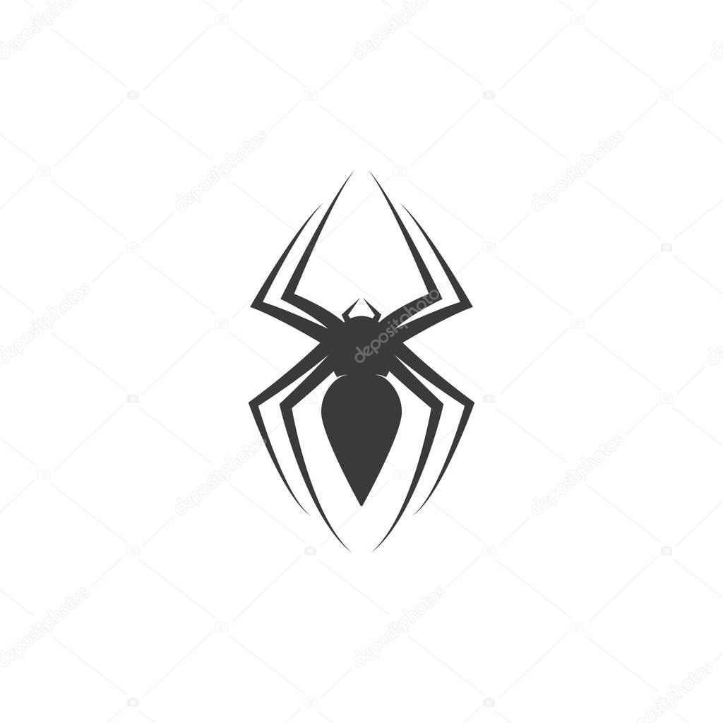 Spider logo vector for business