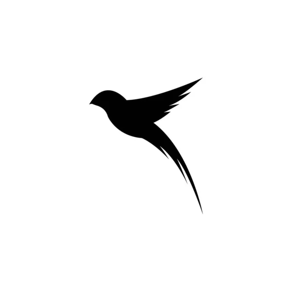 Kuş Logosu Şablonu vektör çizimi