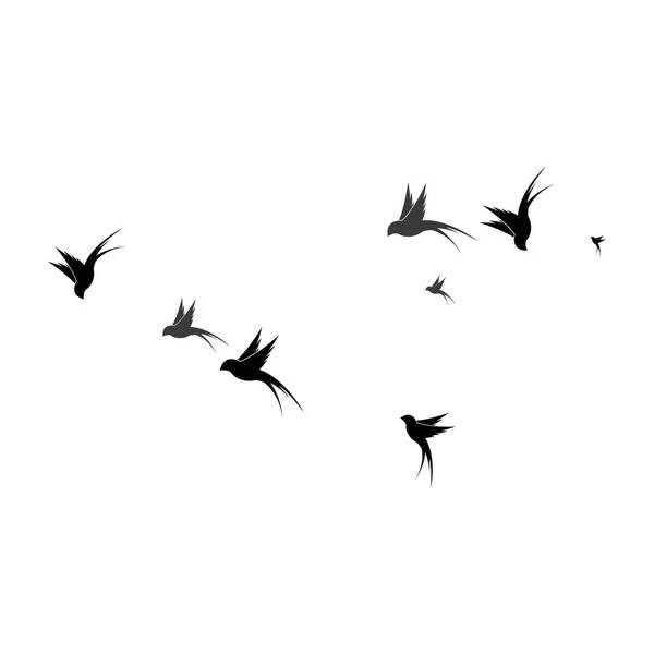 Illustration Vectorielle Modèle Logo Oiseau — Image vectorielle