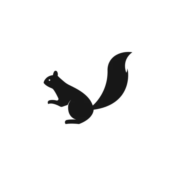 Eichhörnchen Logo Vektor Symbol Illustration Design — Stockvektor