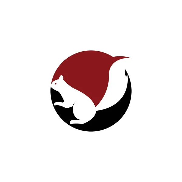 Eichhörnchen Logo Vektor Symbol Illustration Design — Stockvektor