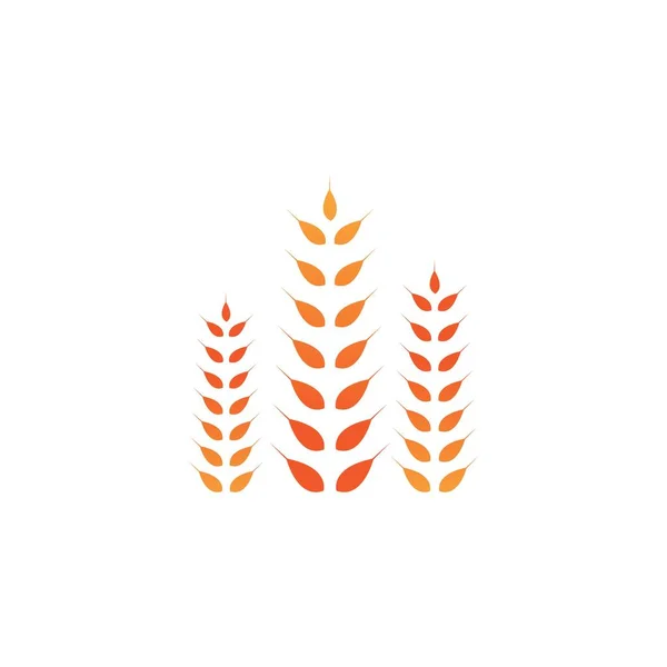 Logo Pszenicy Wzór Wektor Ikona Projekt — Wektor stockowy
