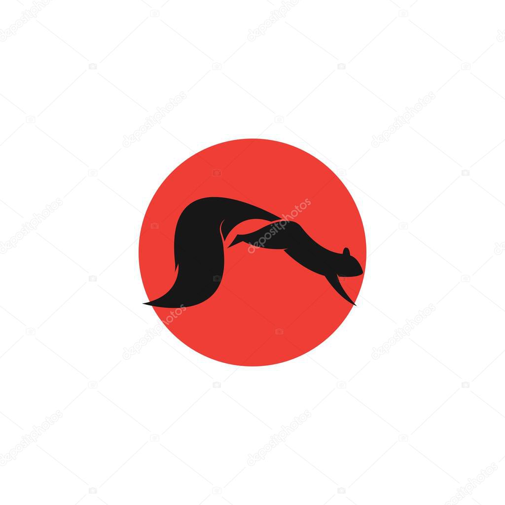 Squirrel logo vector icon illustration design