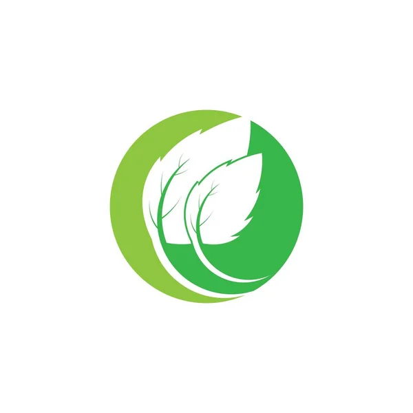 Yeşil Yapraklı Ekoloji Doğa Element Ikonu Logoları — Stok Vektör