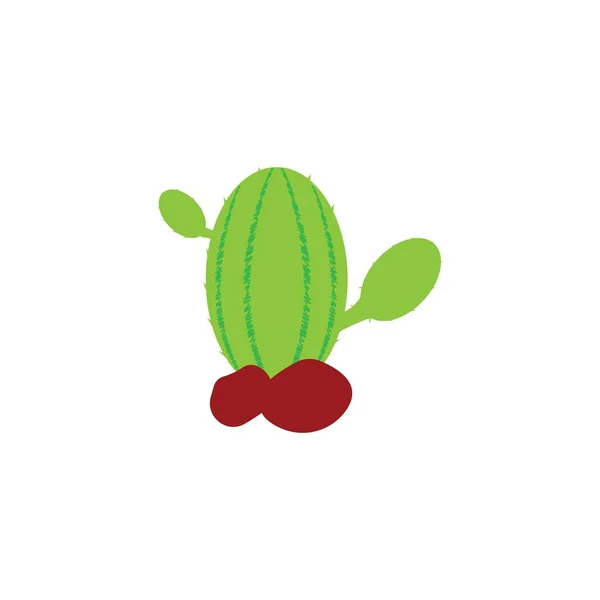 Illustration Vectorielle Modèle Logo Icône Cactus — Image vectorielle