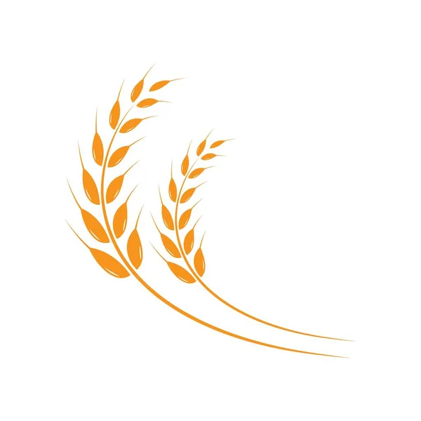 Wheat Logo Template Vector Icon Design — Stock Vector