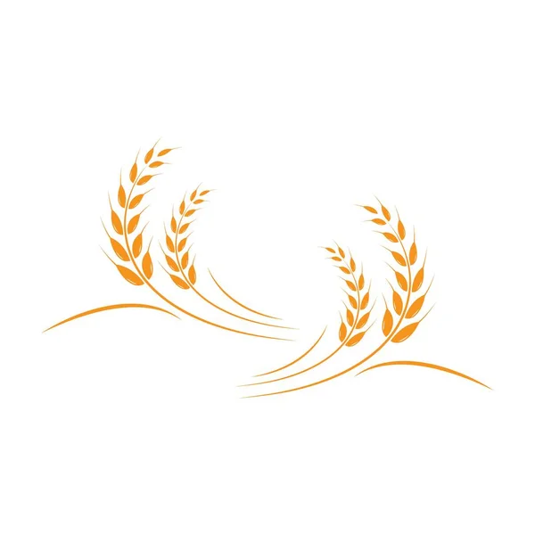 小麦标识模板矢量图标设计 — 图库矢量图片
