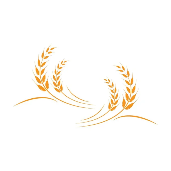 Buğday logosu şablon vektör dizaynı 