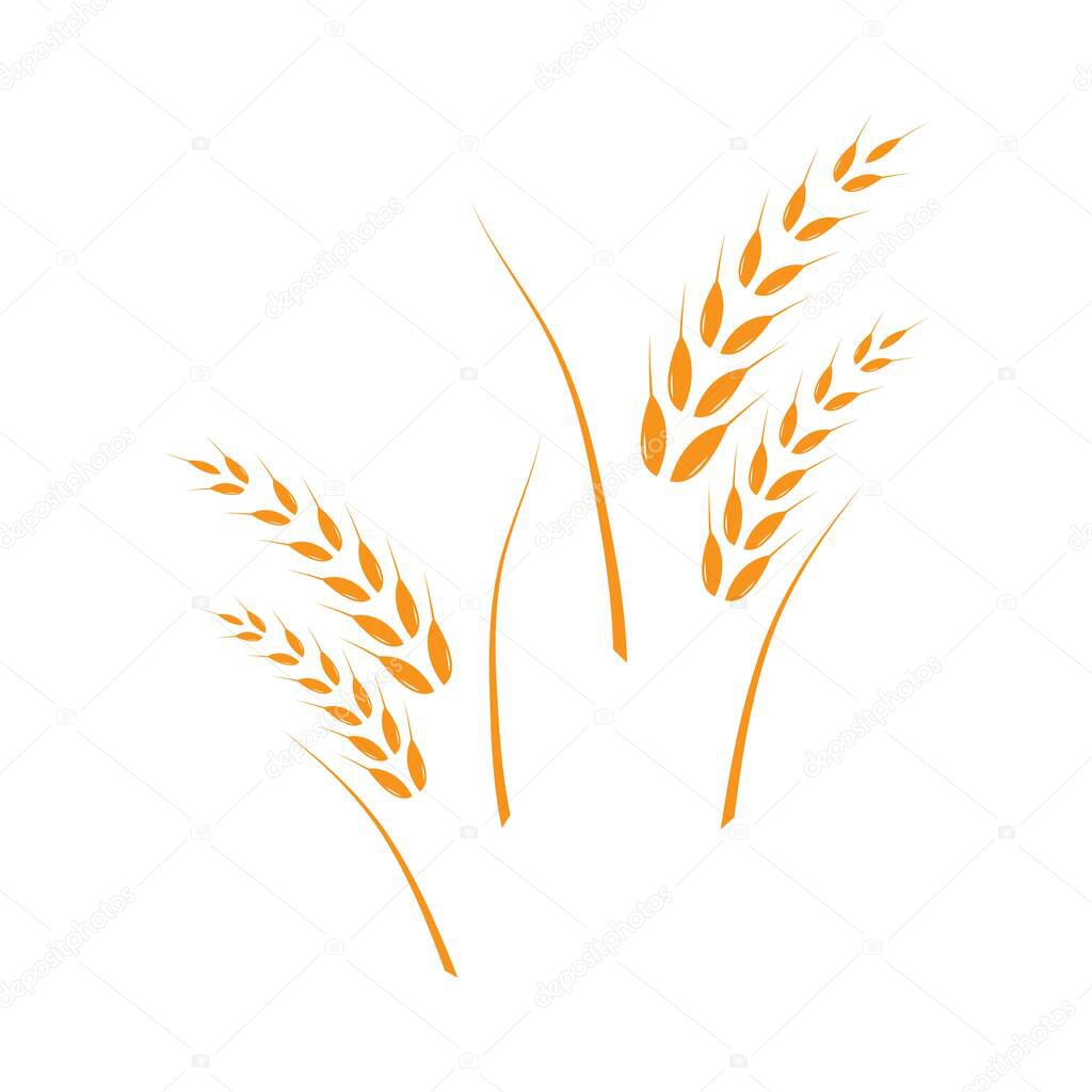 Wheat Logo Template vector icon design