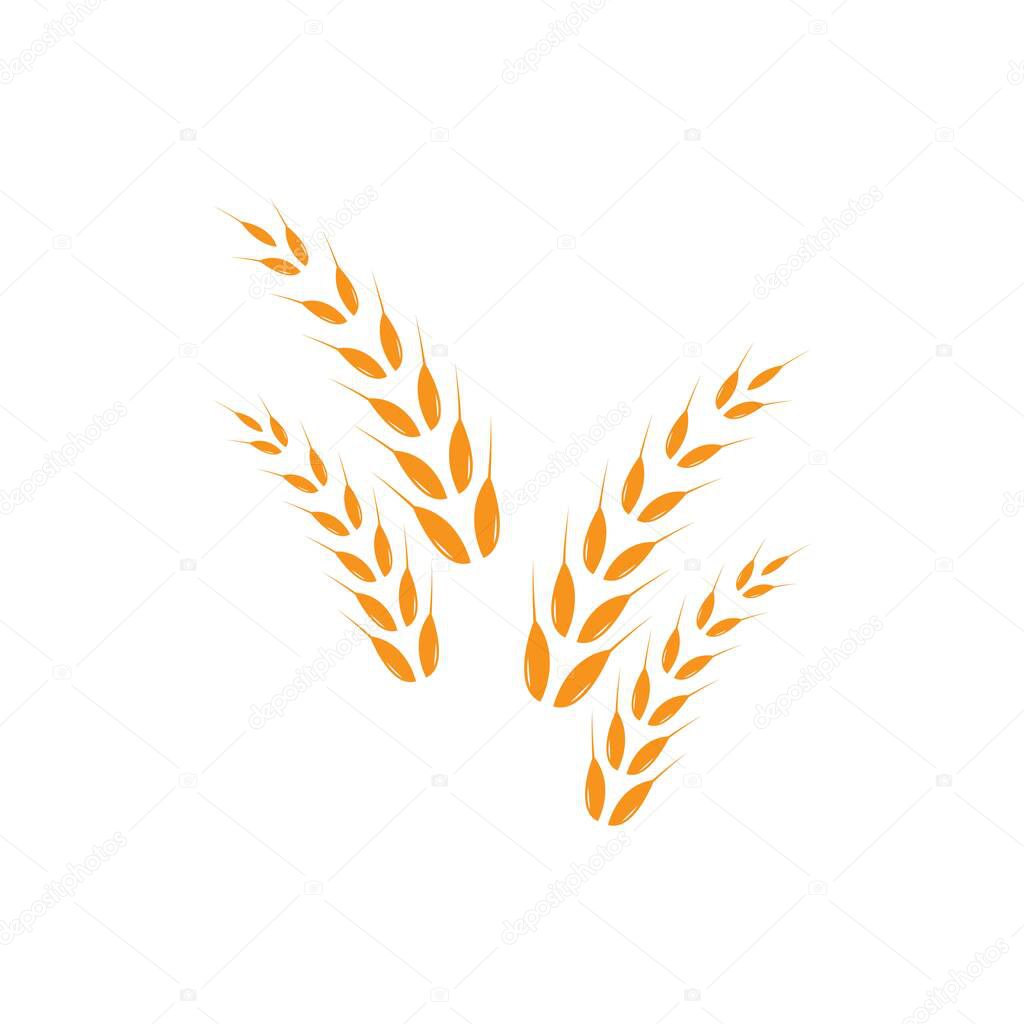 Wheat Logo Template vector icon design