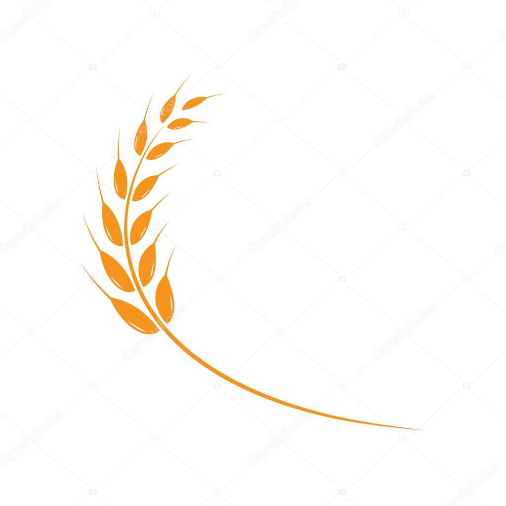 Wheat Logo Template vector icon design