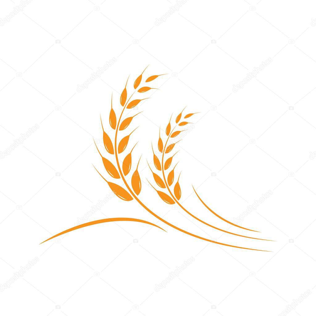 Wheat Logo Template vector icon design