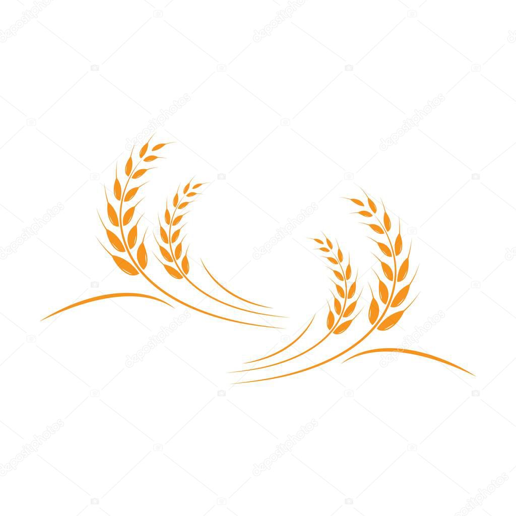 Wheat Logo Template vector icon design