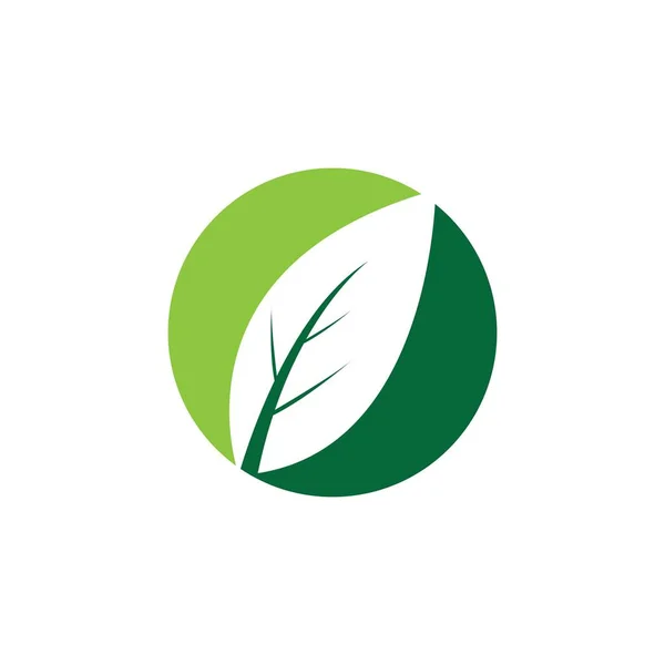 Logotipos Folha Verde Ecologia Elemento Natureza Vetor Ícone —  Vetores de Stock