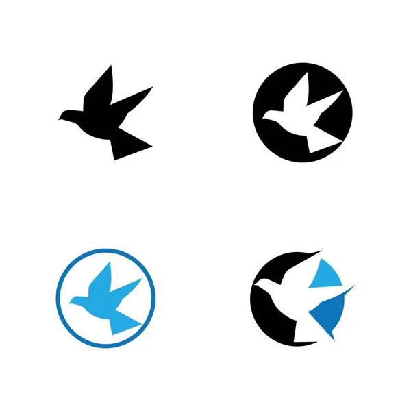 Modelo Logotipo Pomba Pássaro — Vetor de Stock