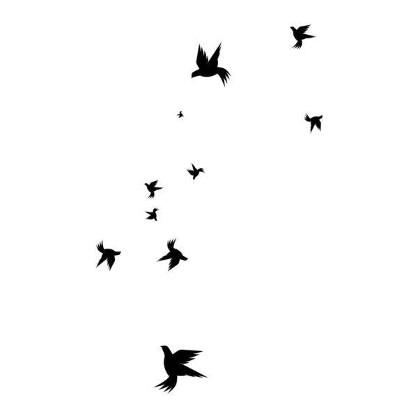 Шаблон Логотип Птахів — стоковий вектор