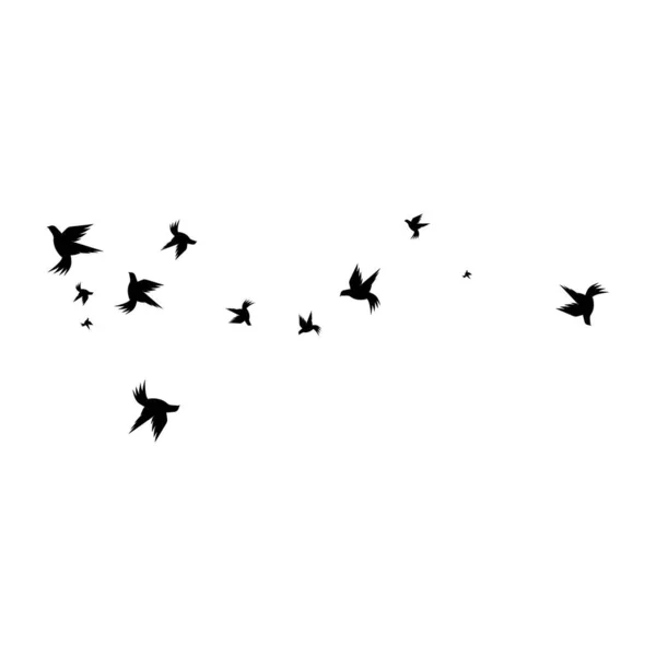 Modèle Logo Colombe Oiseau — Image vectorielle