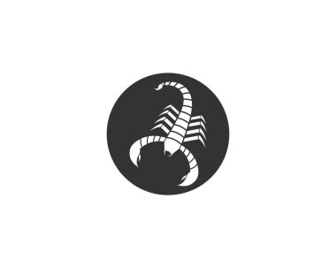 Scorpion logo şablonu vektör çizimi
