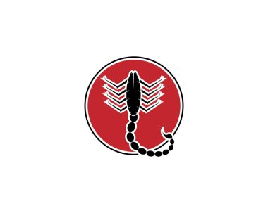 Scorpion logo şablonu vektör çizimi