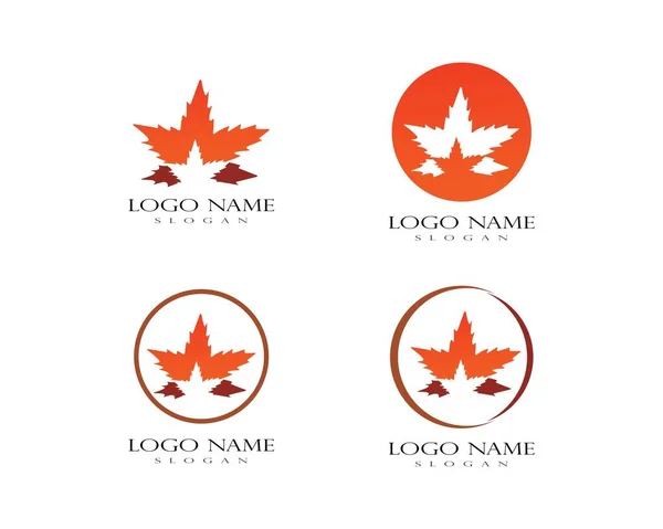 Maple Leaf Logo Design Sjabloon — Stockvector
