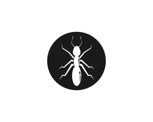 Ant Logo Modèle Vectoriel Illustration Design — Image vectorielle