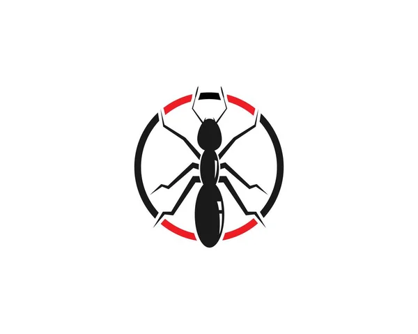 Ant Logo Vorlage Vektor Illustration Design — Stockvektor