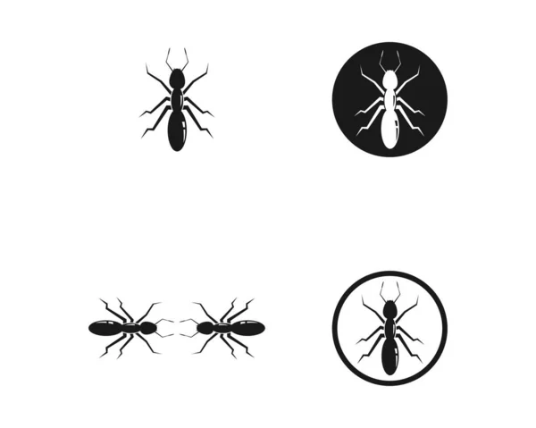 Дизайн Векторной Иллюстрации Логотипа Муравья — стоковый вектор