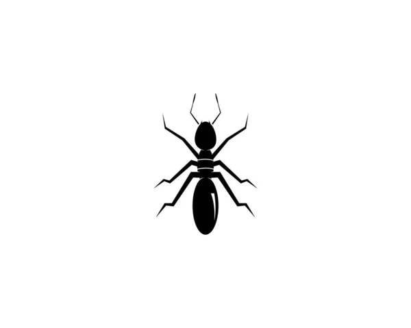 Ant Logo Modèle Vectoriel Illustration Design — Image vectorielle