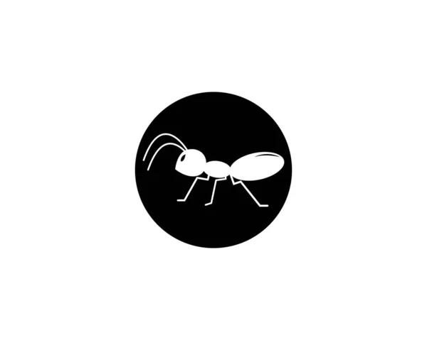 Ant Logo Modèle Vectoriel Illustration Design — Image vectorielle