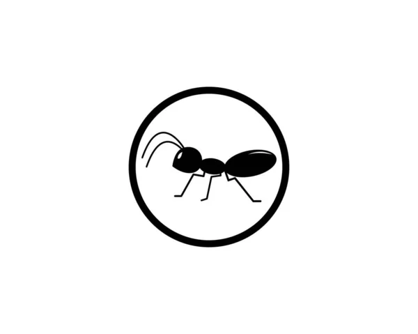 Ant Logo Template Vector Illustration Design — Stock Vector