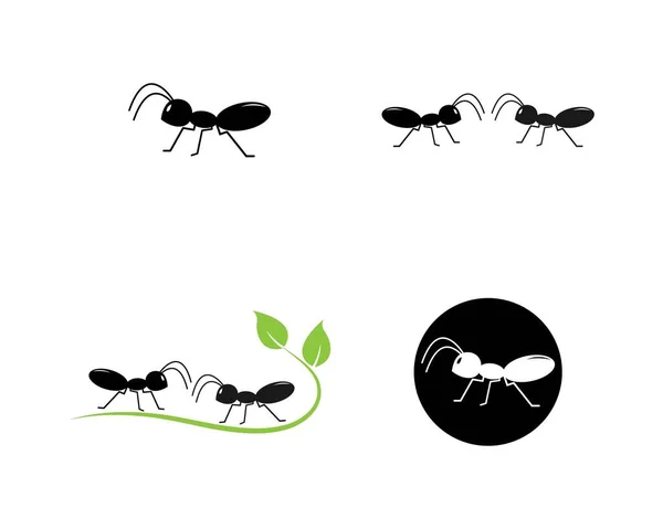 Ant Logo Template Vector Illustration Design — Stock Vector