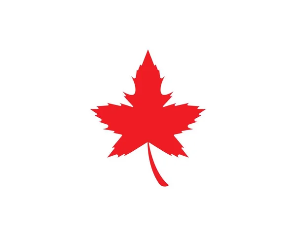Maple Leaf Logo Design Sjabloon — Stockvector