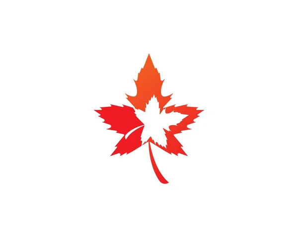 Maple Leaf Logo Design Vorlage — Stockvektor