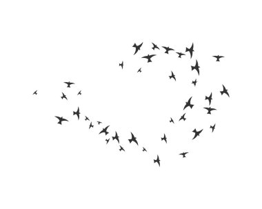 Kuş Logosu Şablonu tasarımı