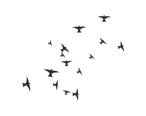 Design Modello Logo Uccello — Vettoriale Stock